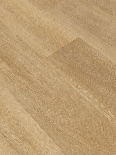 Klebe-Vinyl World of DRYBACK 3535E Akron Oak Breitdiele Town