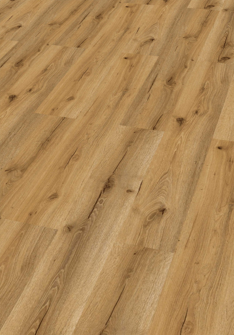 Click-Vinyl CHECK One 2487 Weddingstedt Oak inkl. Trittschall Standard Collection